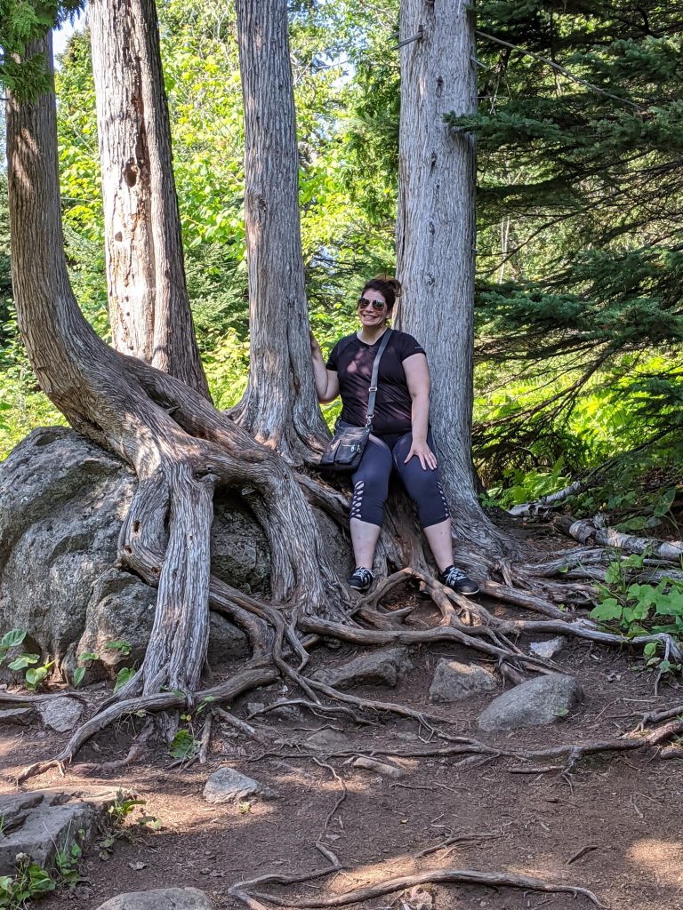 Forest Bathing: Finding Harmony in Nature